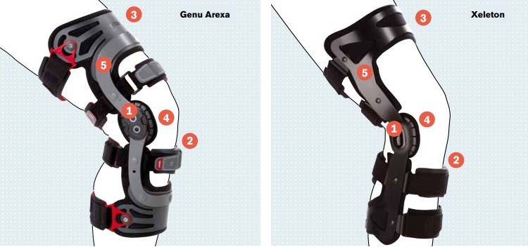Orteza stawu kolanowego Ottobock 